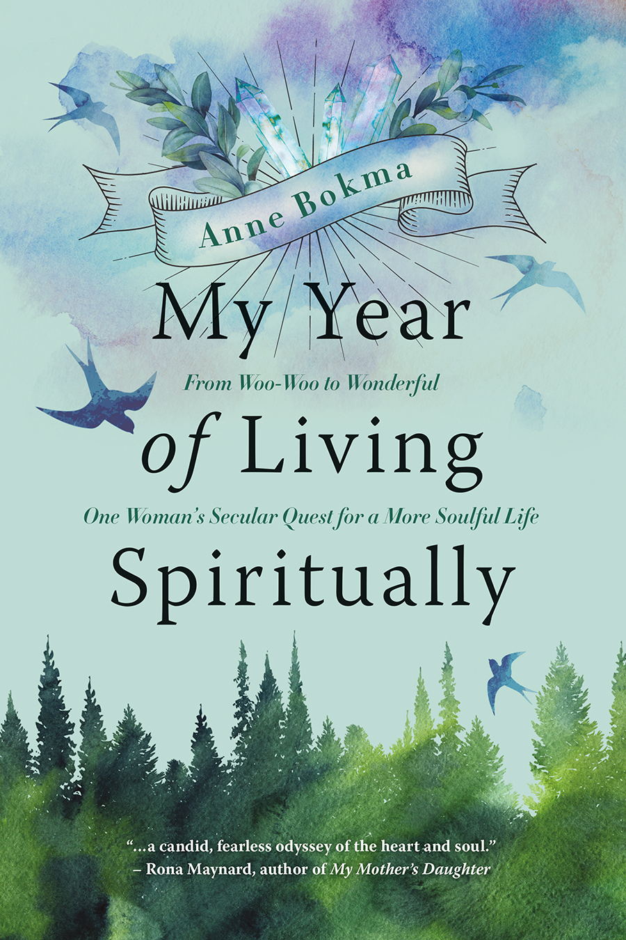 Praise for My Year of Living SpirituallyAnne Bokmas book serves first as a - photo 1