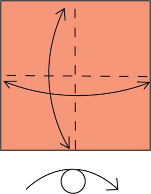 Begin with the shaded side up Valley fold and unfold in half edge to edge both - photo 14