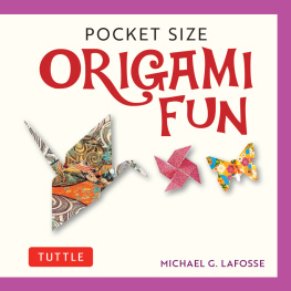 Michael G. LaFosse - Pocket Size Origami Fun Kit: Contains Everything You Need to Make 7 Exciting Paper Models