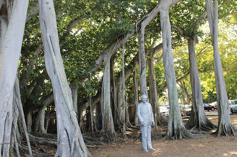 Edison Ford Winter Estates Get a glimpse into the lives of these legendary - photo 18