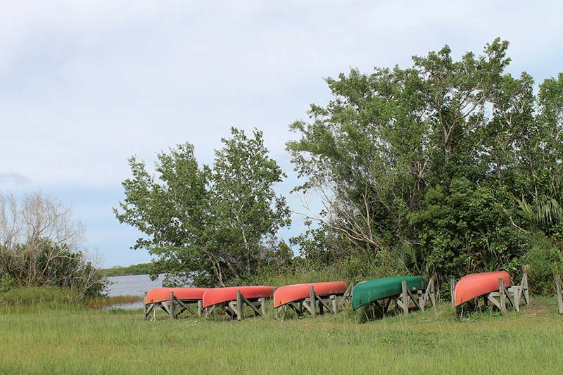 Canoeing Kayaking in the Everglades The wide-open wetlands and hemmed-in - photo 19