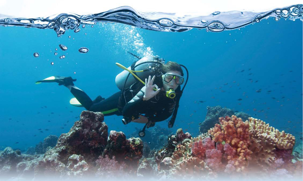 Scuba stands for Self-Contained Underwater Breathing For as long as humans - photo 4