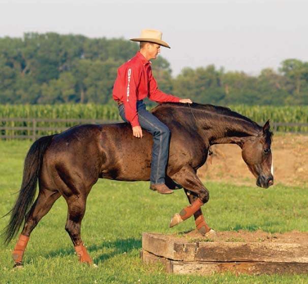 Clinton believes that all riders can communicate effectively with their horses - photo 4