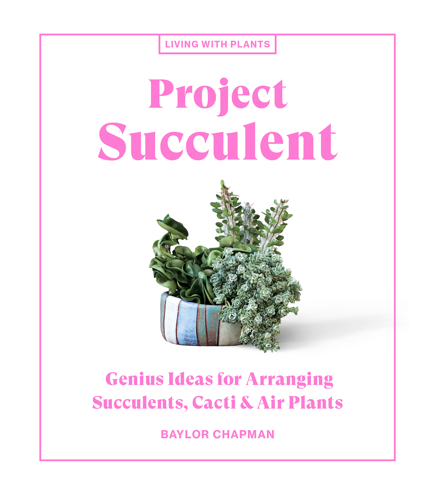 Project Succulent Genius Ideas for Arranging Succulents Cacti Air Plants - photo 1
