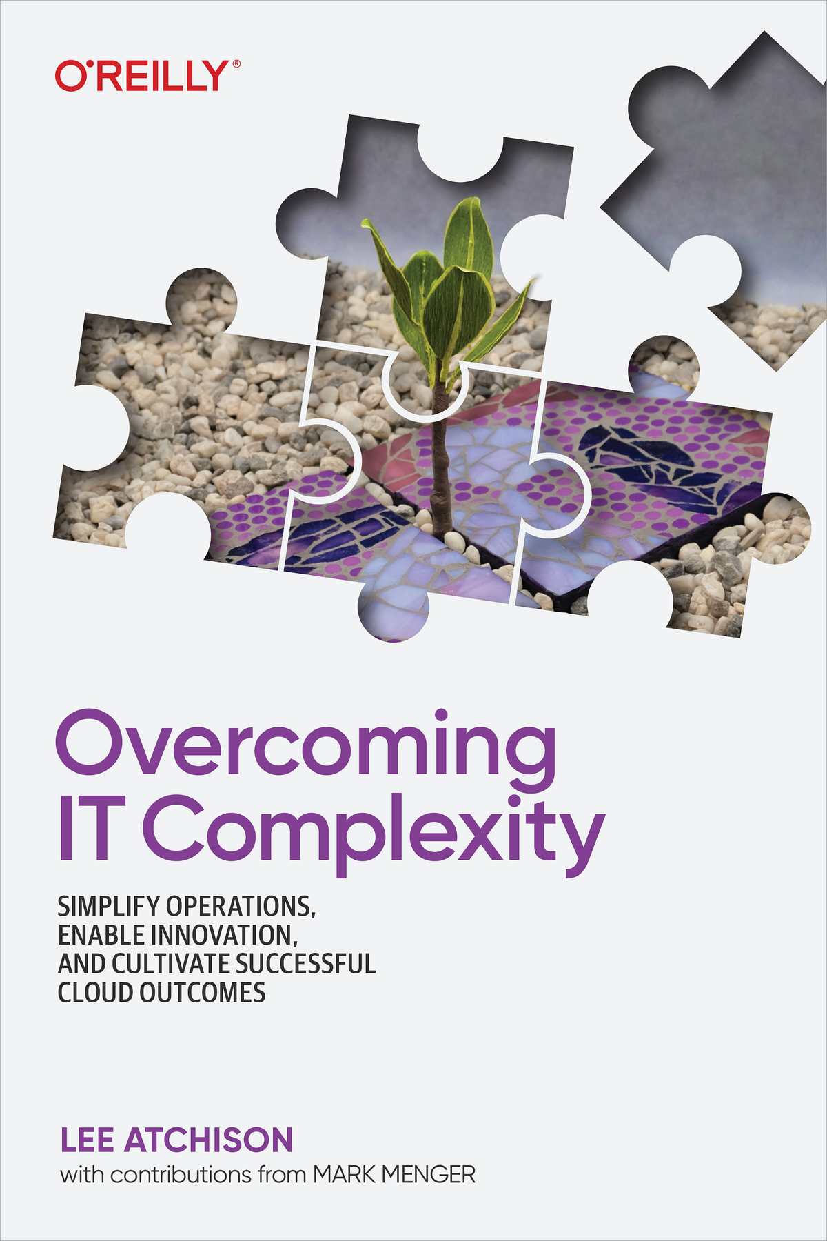 Overcoming IT Complexity by Lee Atchison Copyright 2023 OReilly Media Inc - photo 1