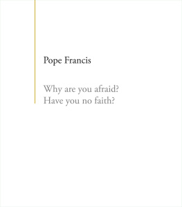 Pope Francis Why Are You Afraid? Have You No Faith?