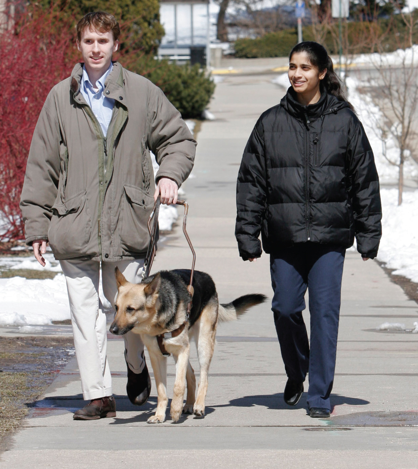 Image Credit AP ImagesAndy Manis Guide dogs are specially trained to help - photo 9