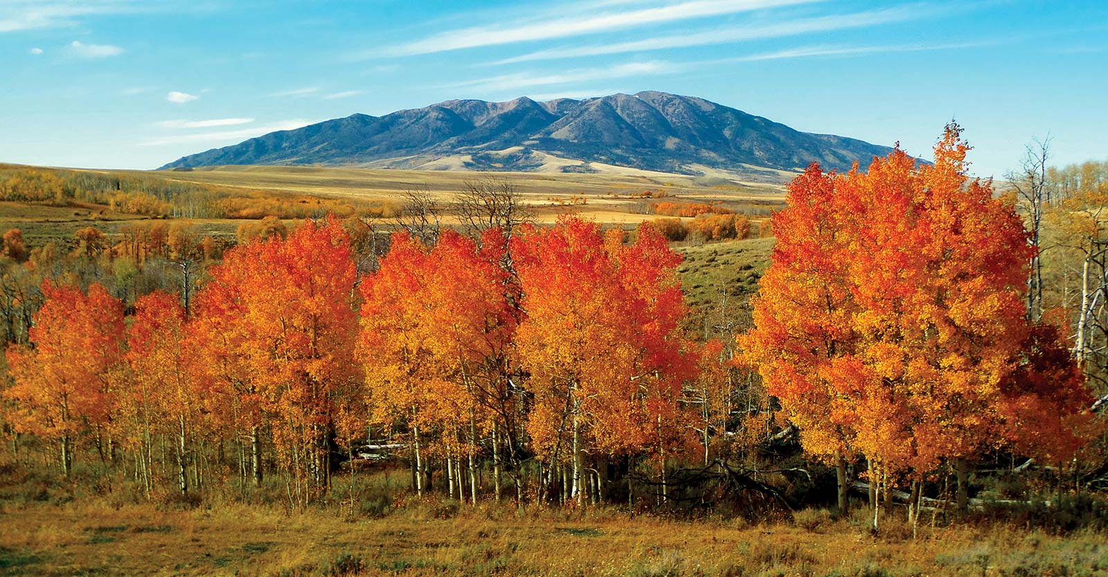 fall in Wyoming The dramatic landscapes of Montana and Wyomingfrom soaring - photo 10