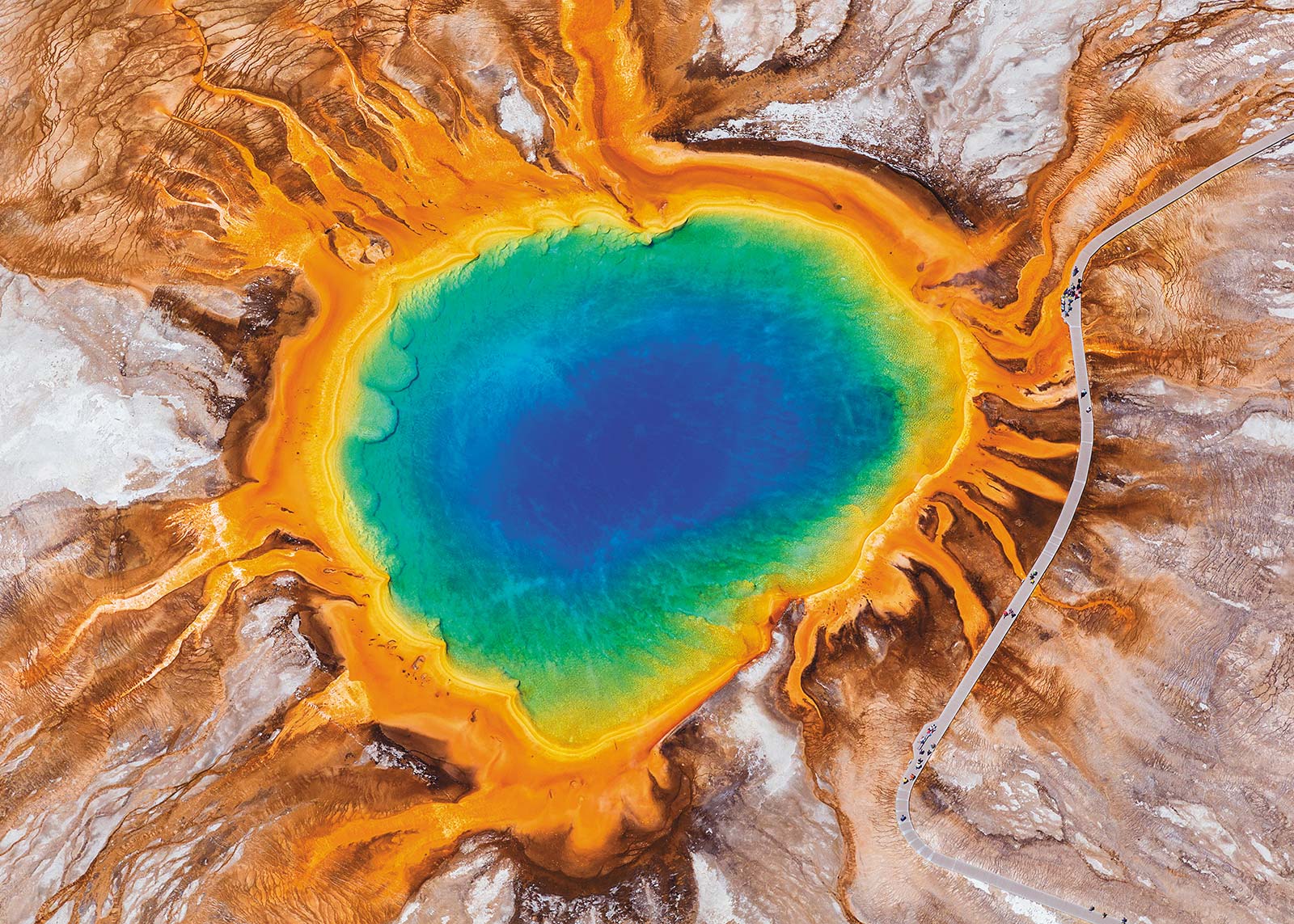 Yellowstones Grand Prismatic Spring Embodied by the bucking bronco on its - photo 13