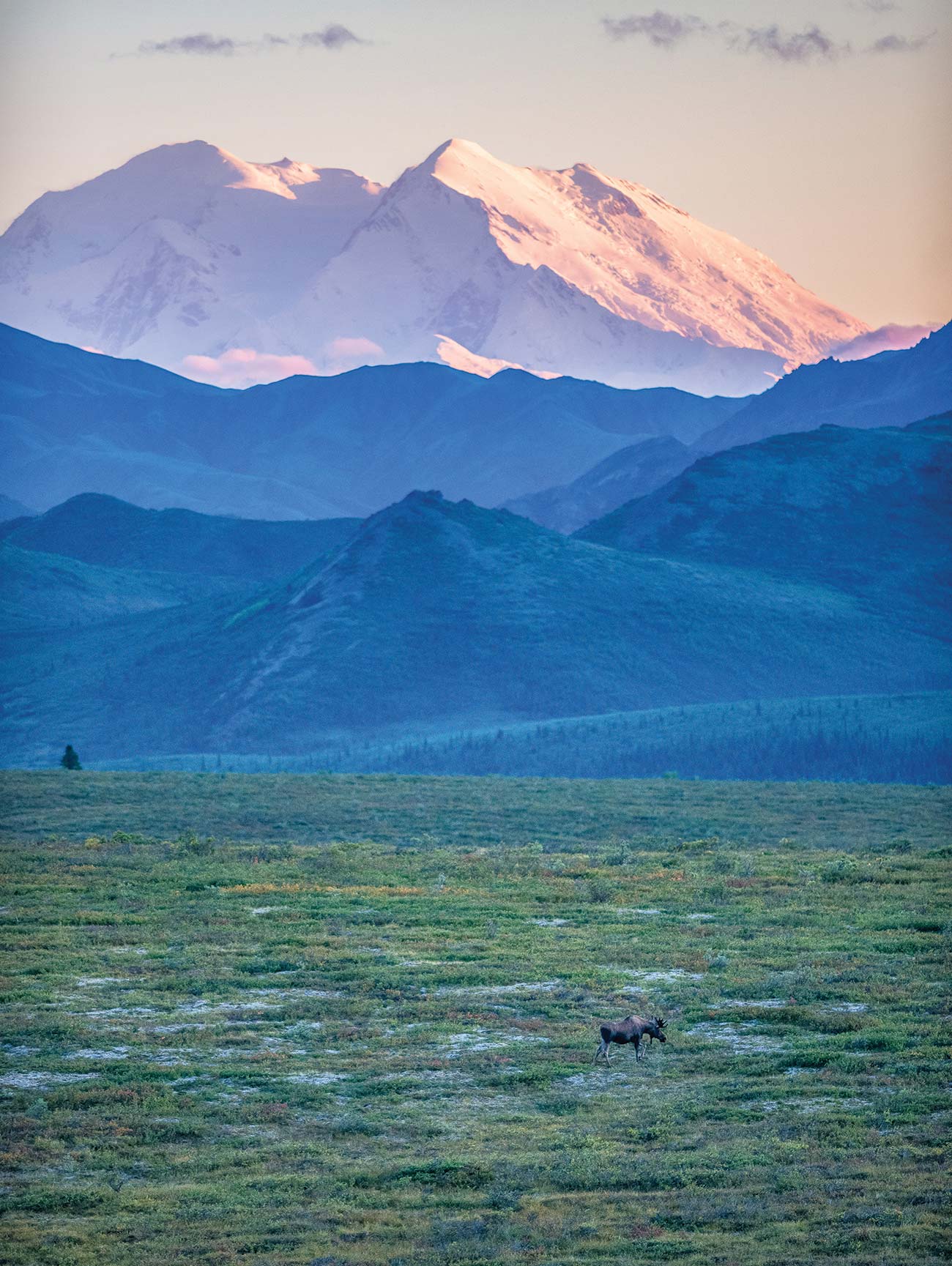 Check out the highest peak in North America and the six-million-acre park - photo 20