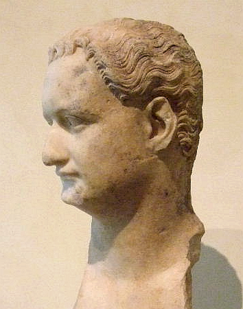 Domitian AD 51-96 Bust housed in the Capitoline Museums Rome THE LIFE OF - photo 9