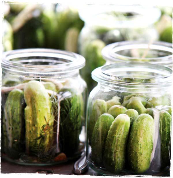 The Peculiar History of PICKLES When you pickle you are not only creating a - photo 8