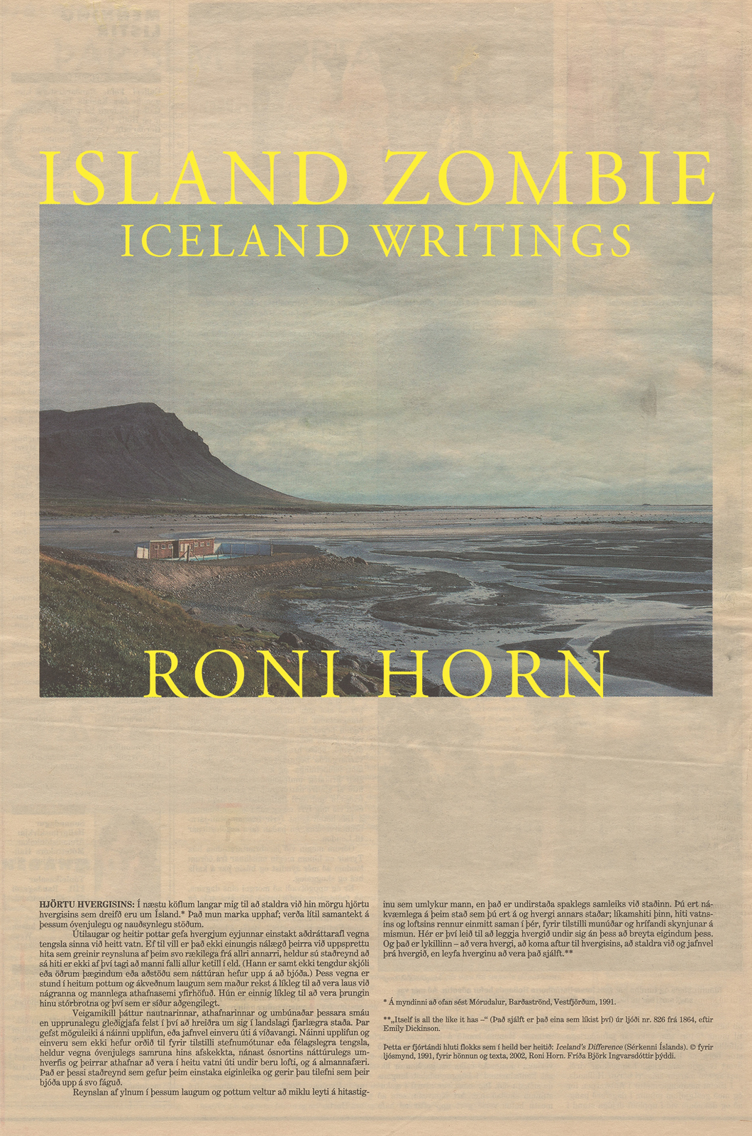 ISLAND ZOMBIE ISLAND ZOMBIE ICELAND WRITINGS RONI HORN PRINCETON UNIVERSITY - photo 1