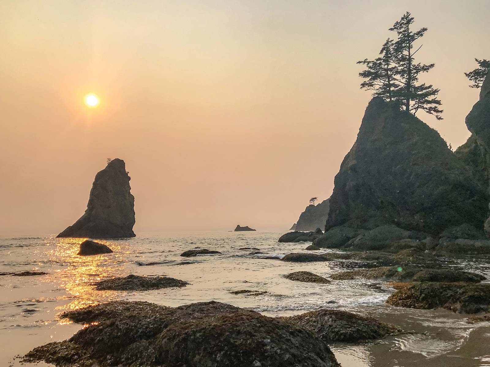 SHI SHI BEACH Olympic National Park Ozette Two legs of the Ozette Triangle - photo 17