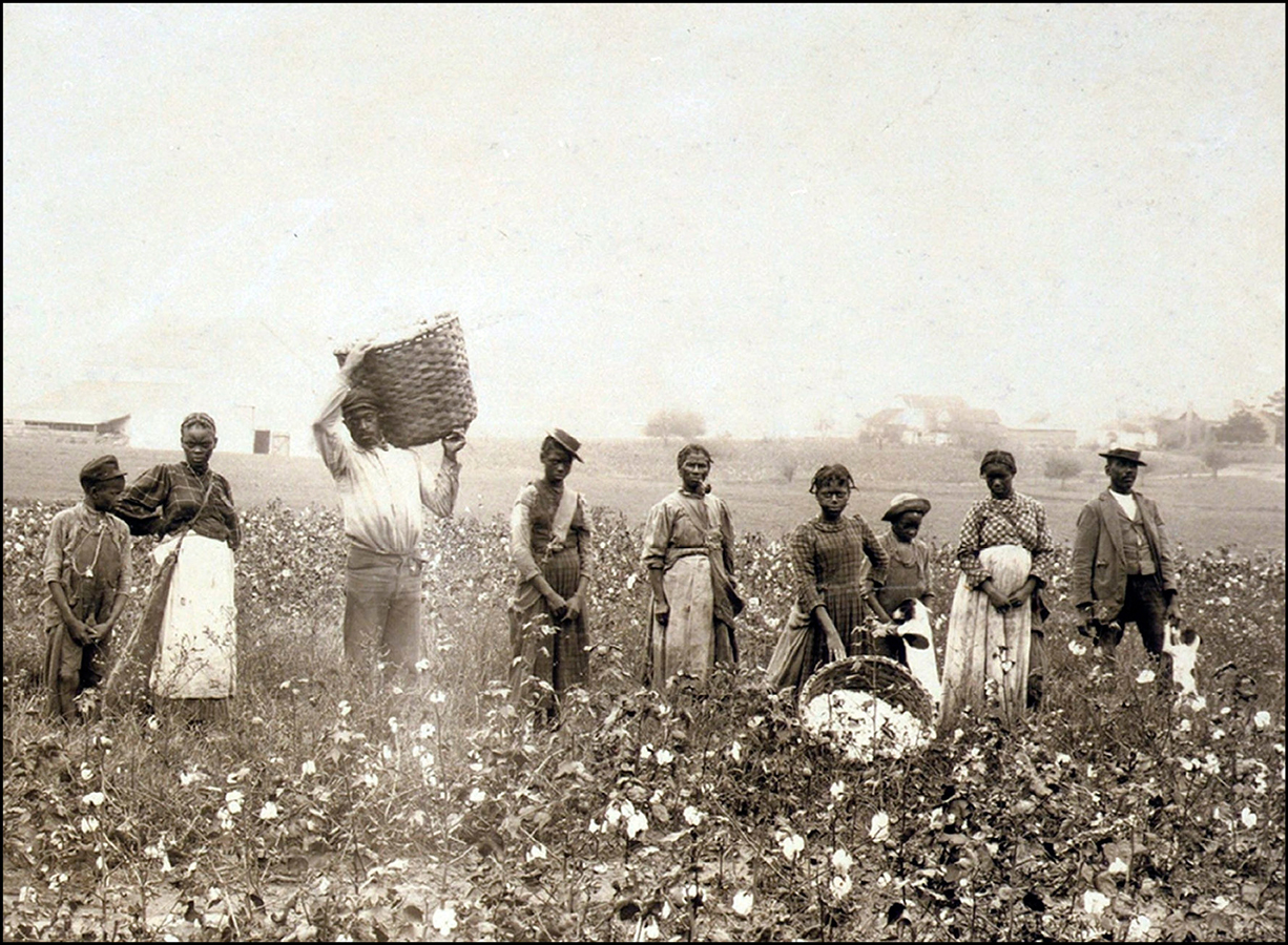 Slave owners forced enslaved people to do many types of work including harsh - photo 6