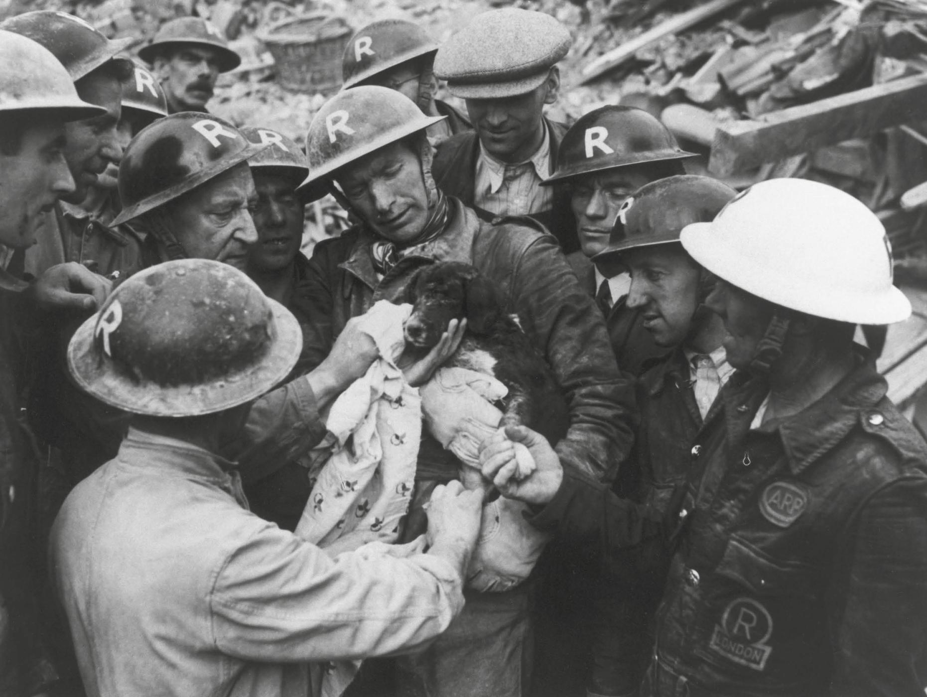 Rescue of a puppy during the Blitz South London 1940 The barks of the little - photo 6