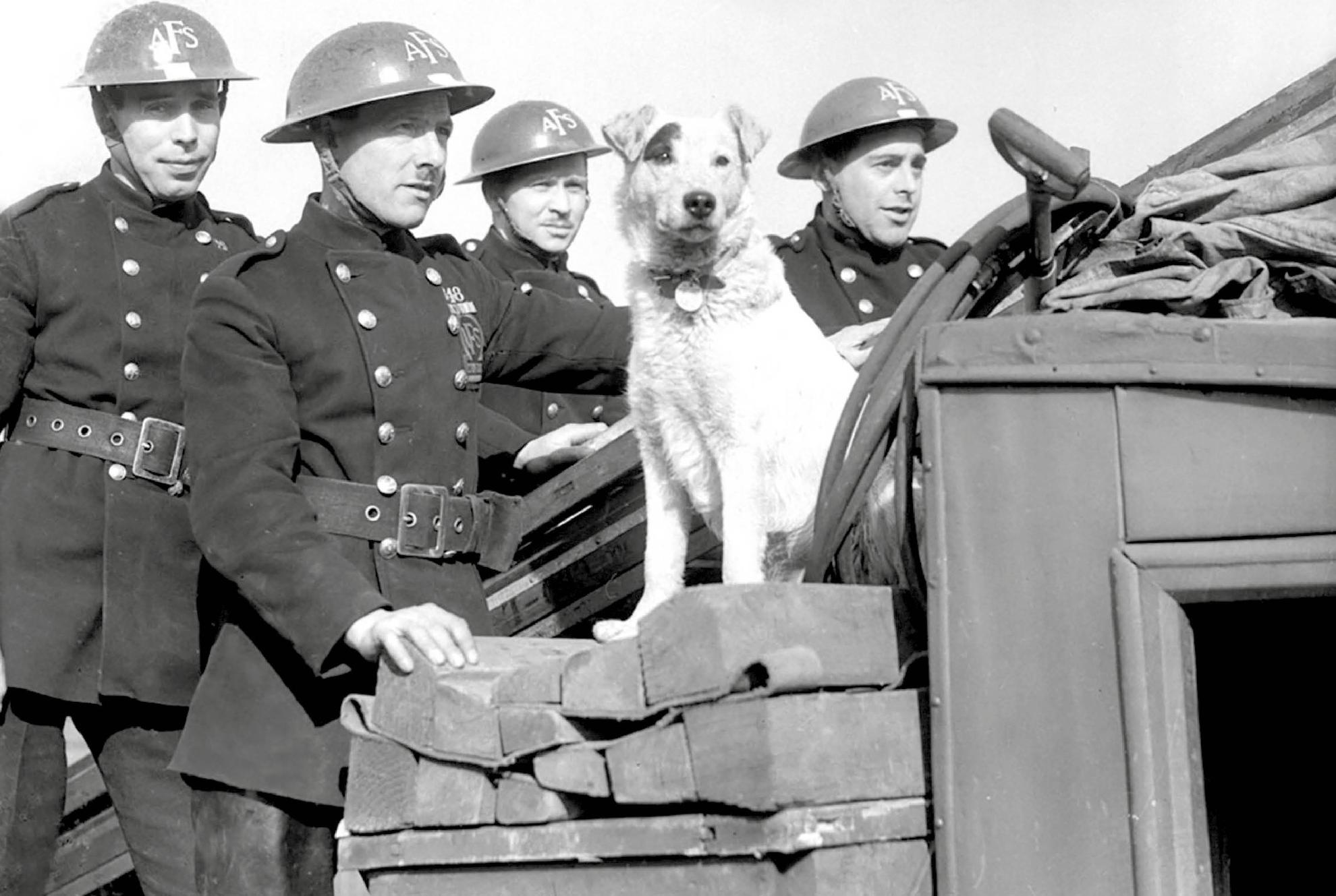 Members of L Section Auxiliary Fire Service West Croydon London and Spot a - photo 5