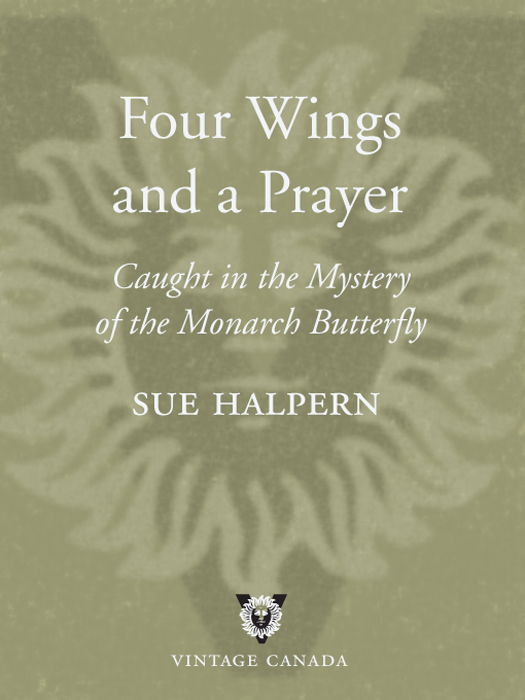 Praise for SUE HALPERNs F OUR W INGS AND A P RAYER Four Wings and a Prayer - photo 1