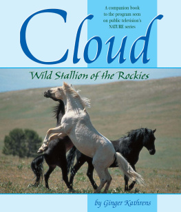 Ginger Kathrens - Cloud: Wild Stallion of the Rockies, Revised and Updated