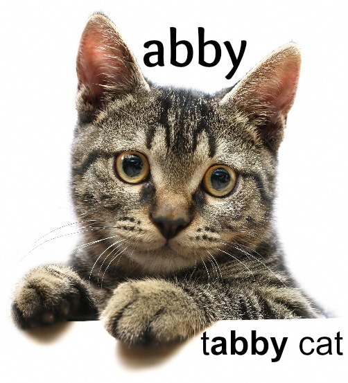 abby tabby flabby crabby shabby able cable table stable - photo 5