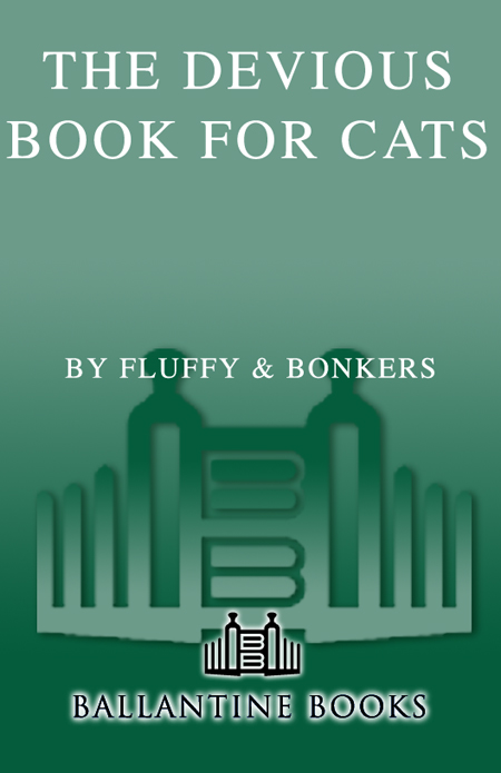 The Devious Book for Cats A Parody - image 1