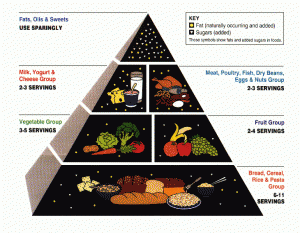 MyPlate is served with some advice as a side dish Here is the accompanying - photo 4