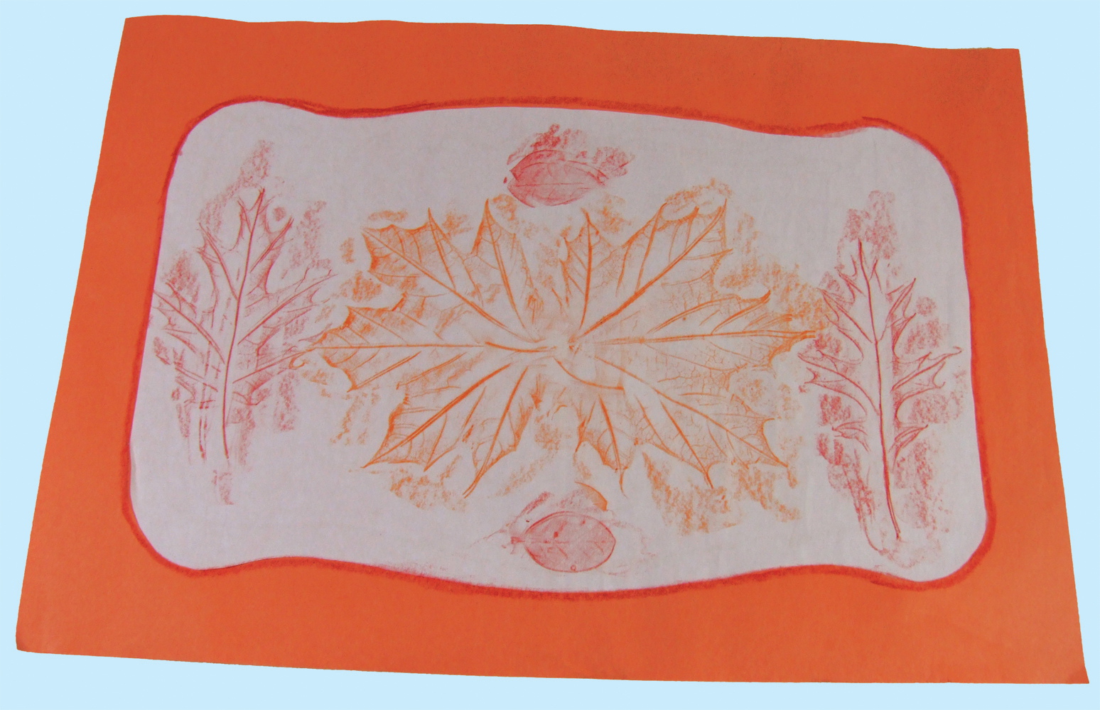 7 Glue the leaf rubbings to a sheet of construction paper or poster board 8 - photo 5