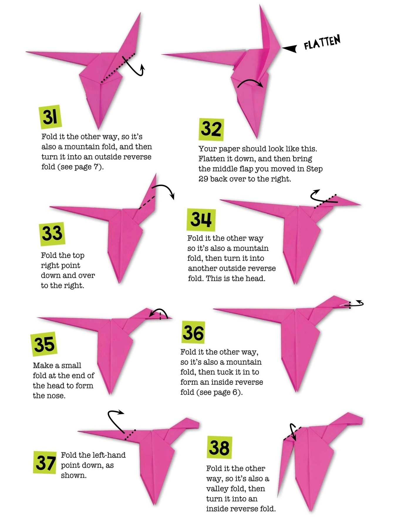 GLOSSARY crease To fold fangs Long pointed teeth gobble To eat a lot of - photo 27