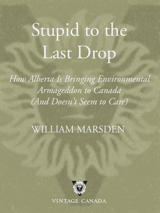 Praise for Stupid to the Last Drop NATIONAL BESTSELLER WINNER OF THE - photo 1