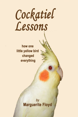 Marguerite Floyd Cockatiel Lessons