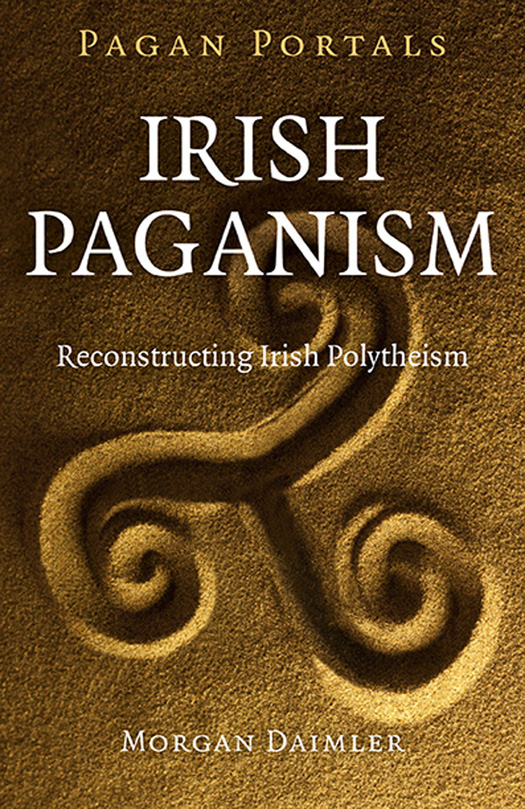 WHAT PEOPLE ARE SAYING ABOUT IRISH PAGANISM There are very few books out - photo 1