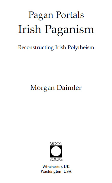 WHAT PEOPLE ARE SAYING ABOUT IRISH PAGANISM There are very few books out - photo 2