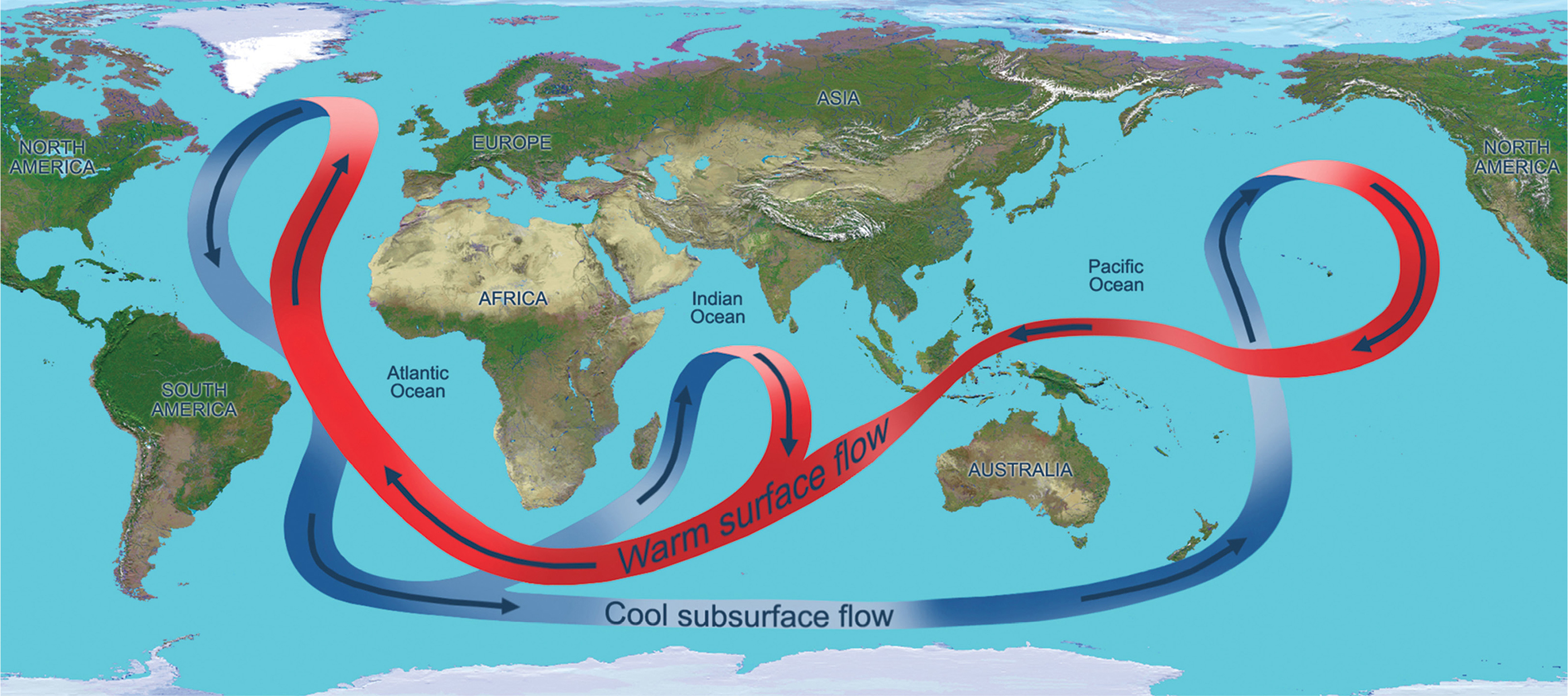 A National Aeronautics and Space Administration map of ocean currents depicts - photo 4