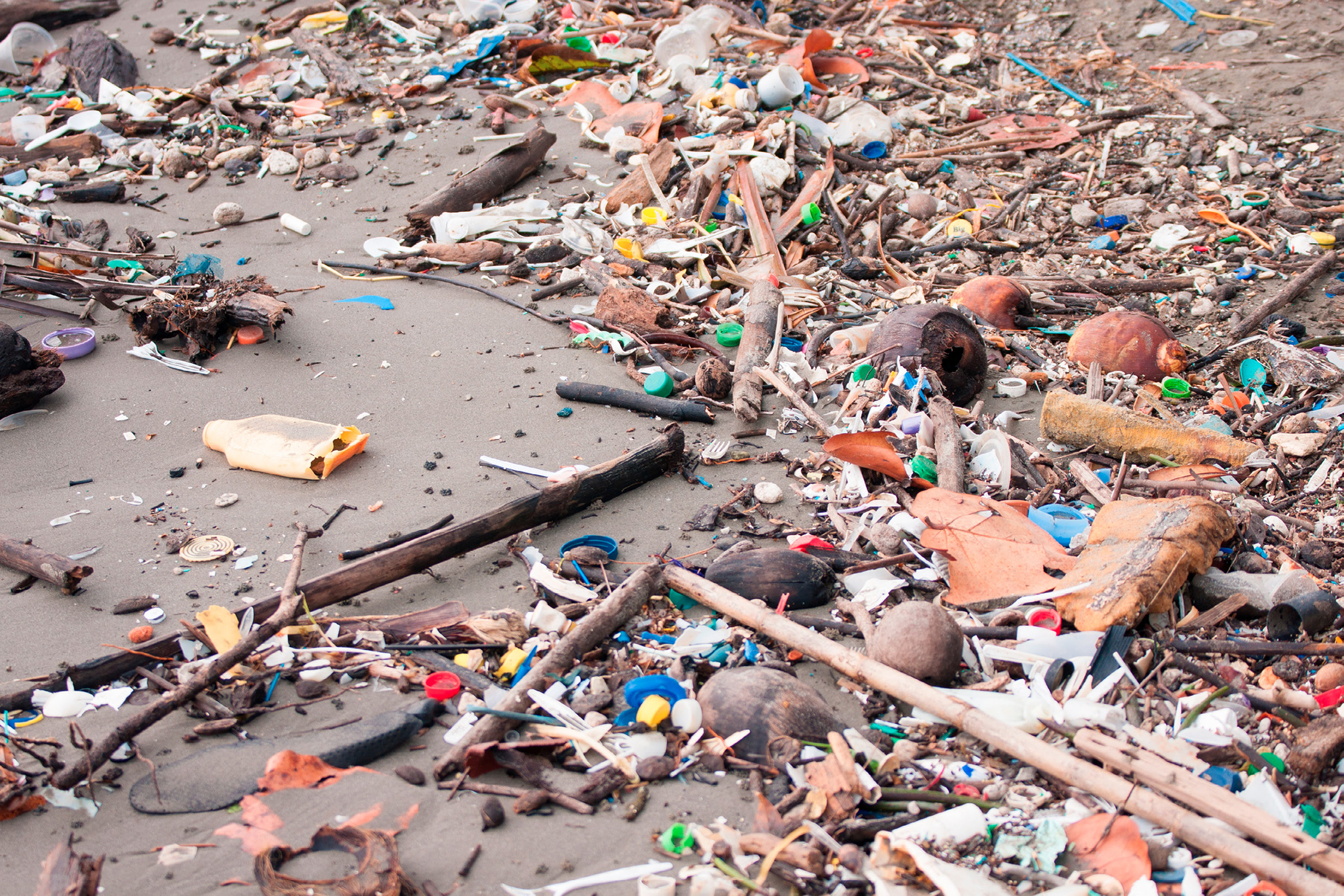 Beaches littered with plastic and other types of trash are found around the - photo 8