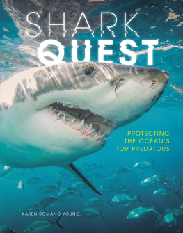 Karen Romano Young Shark Quest: Protecting the Oceans Top Predators