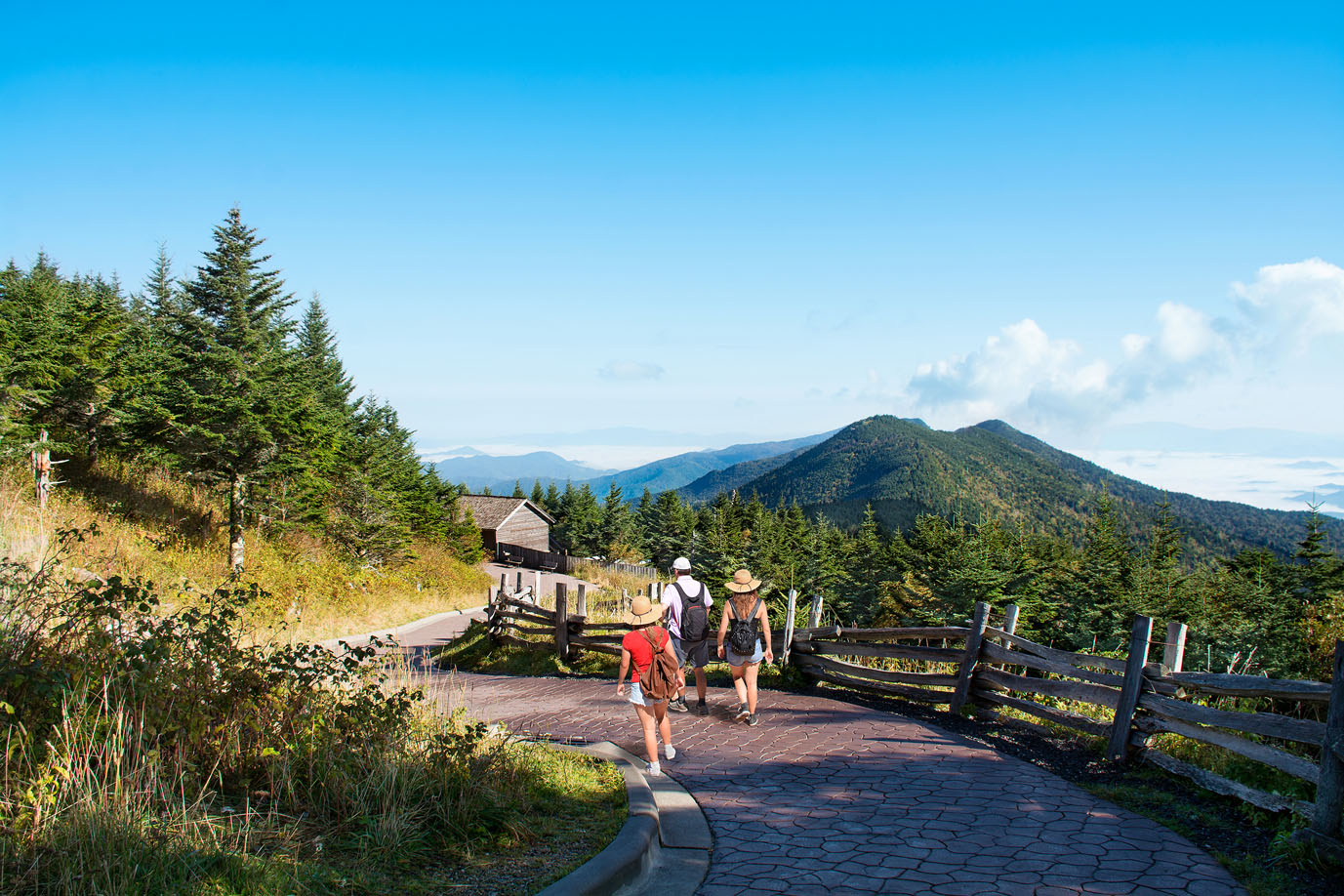 MARGARETW SHUTTERSTOCK Asheville Hikers bohemians craft beer lovers and - photo 7