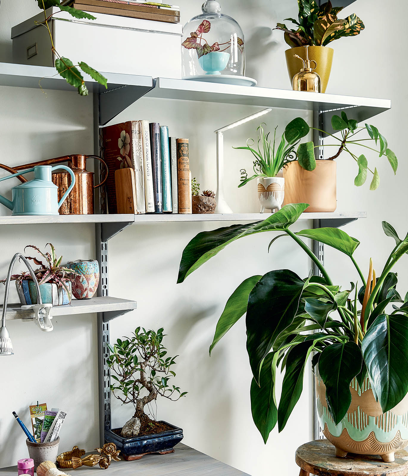 Home Sweet Houseplant A Room-by-Room Guide to Plant Decor Baylor Chapman - photo 3