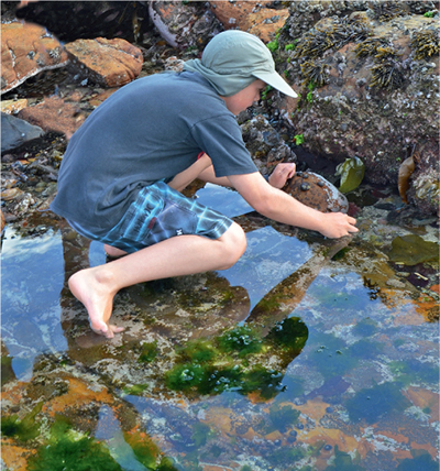 Did you know Your best pieces of beach equipment are your eyes and your - photo 2