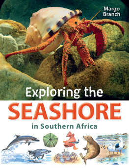 Margo Branch - Exploring the Seashore in Southern Africa