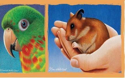 Realistic PET PORTRAITS in colored pencil Anne deMille Flood About - photo 2