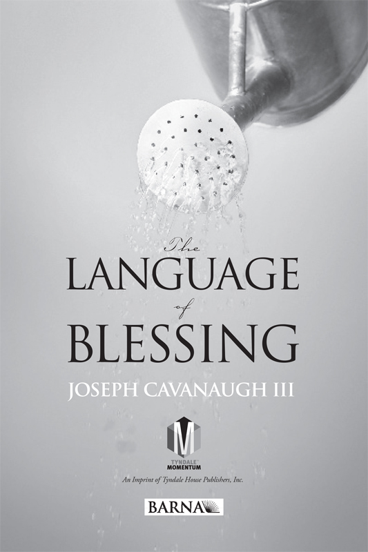 Begin experiencing the power of blessing through this wonderfully well-written - photo 2