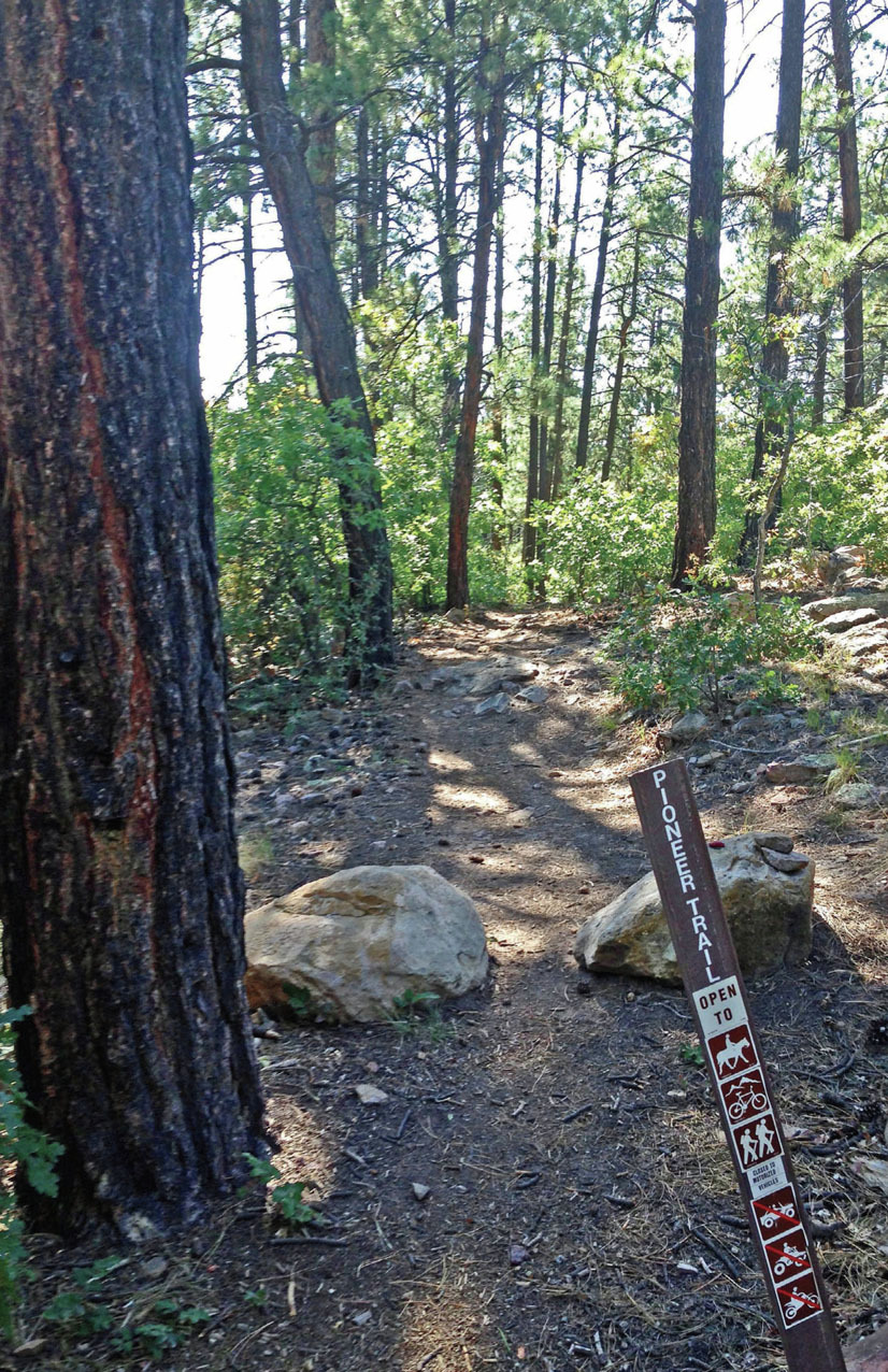 The top of Pioneer Trail reaches Nusbaum Road the junction shown here - photo 10