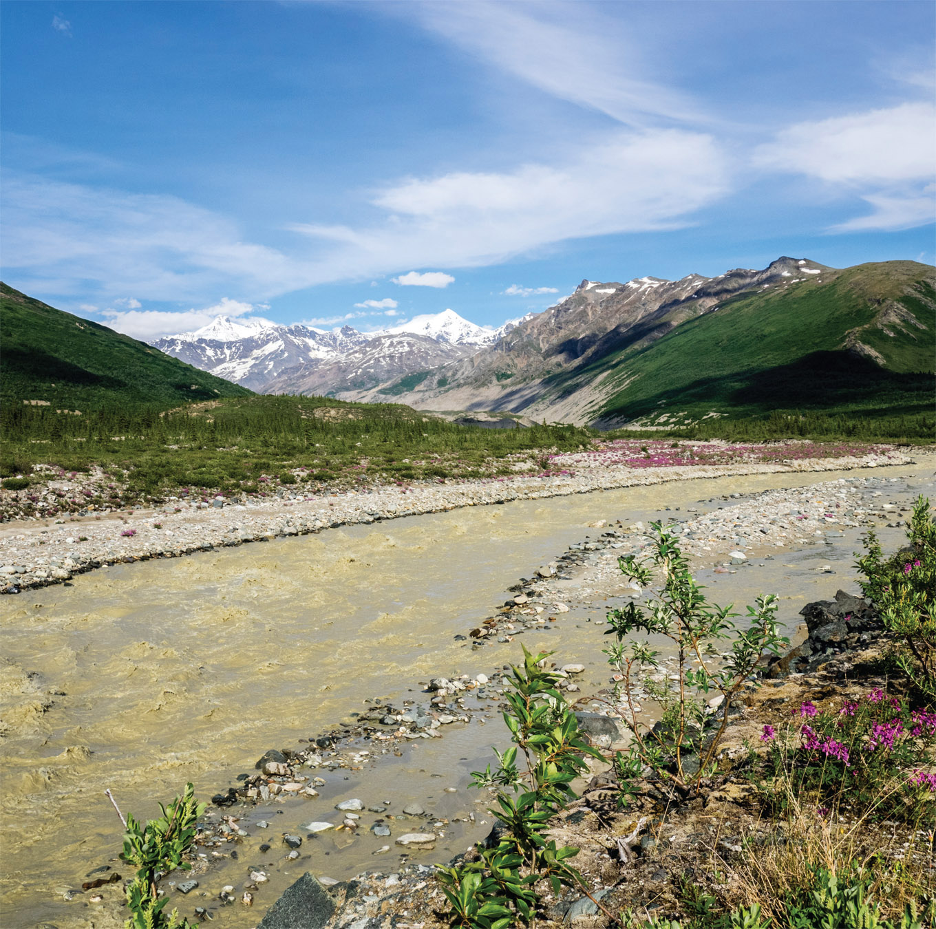 Chalky gray water and the lack of trees in a wide margin on either side of this - photo 2