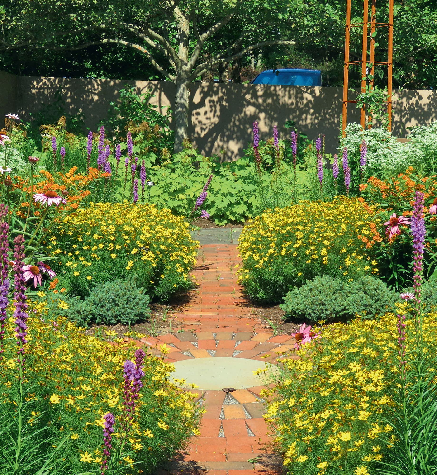 Pollinator garden at The Native Plant Center Westchester County New York - photo 5