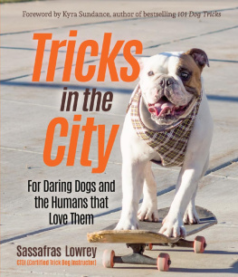 Sassafras Lowrey Tricks in the City: For Daring Dogs and the Humans that Love Them