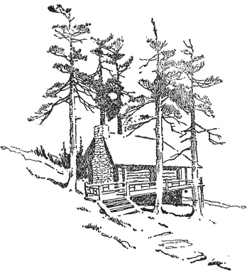 In the Wilderness THE LOG CABIN BOOK A Complete Builders Guide to - photo 1
