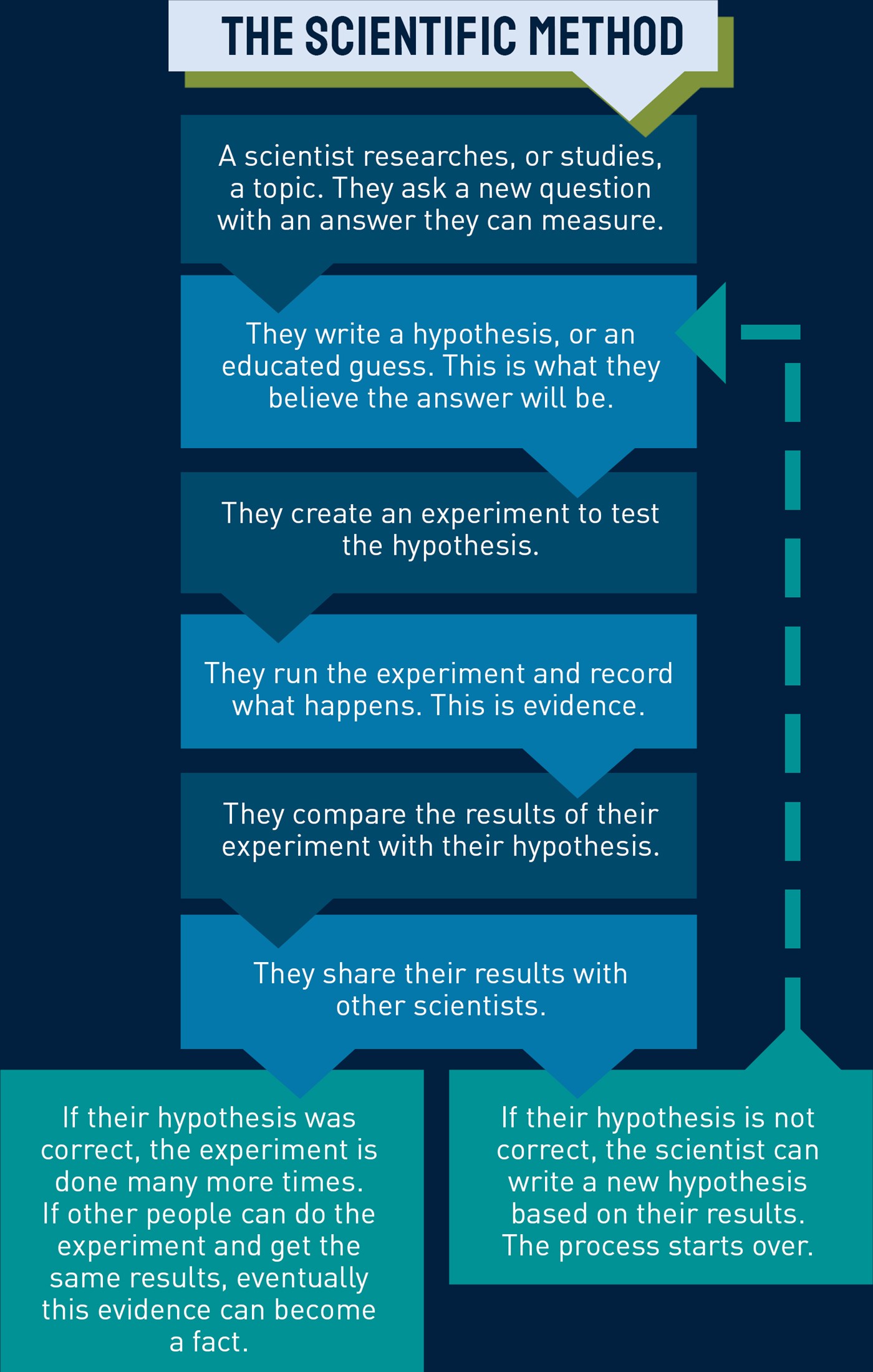 Climate scientists use the scientific method to study Earths climate They look - photo 10