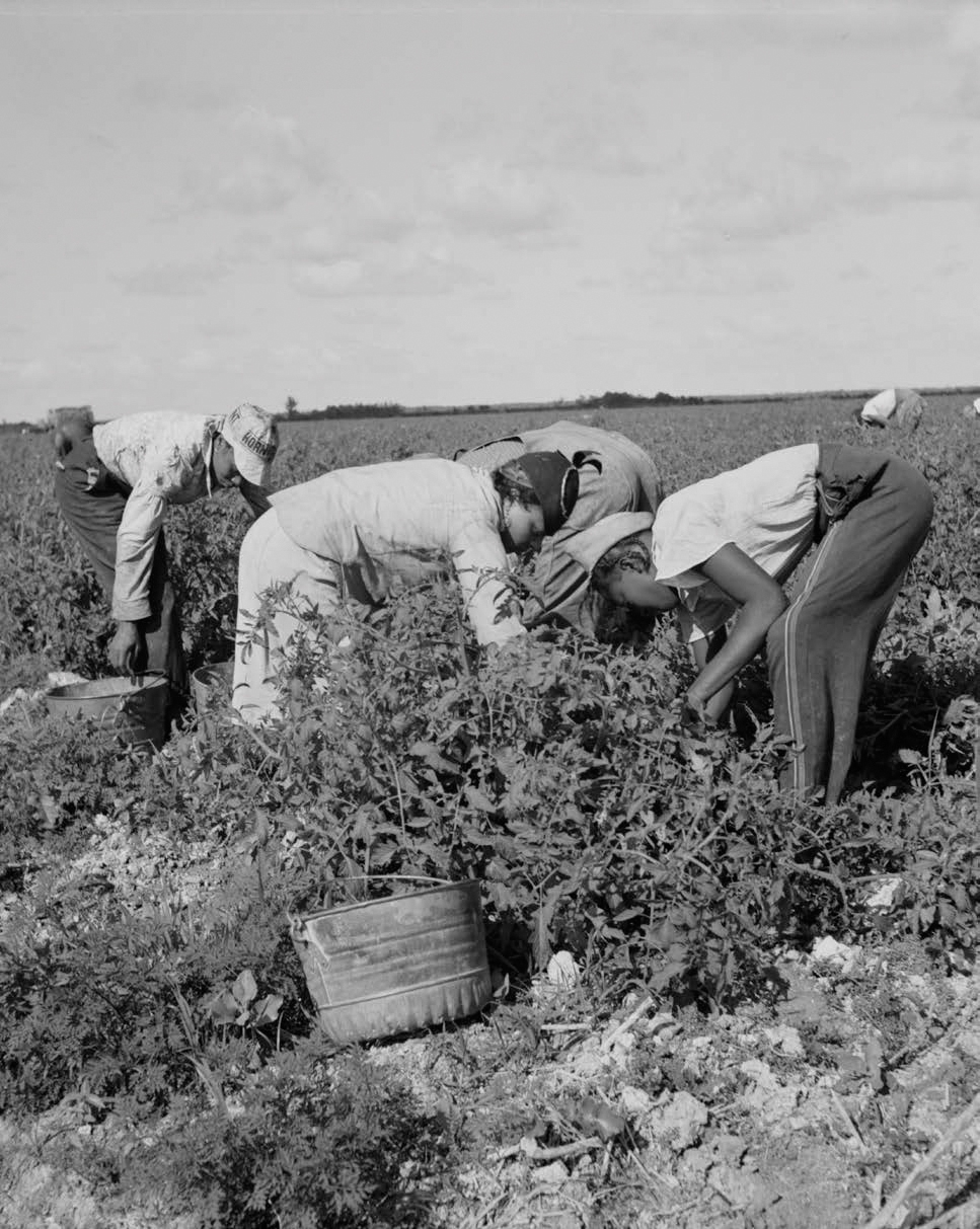 Hurston was especially interested in the songs of African American laborers in - photo 4