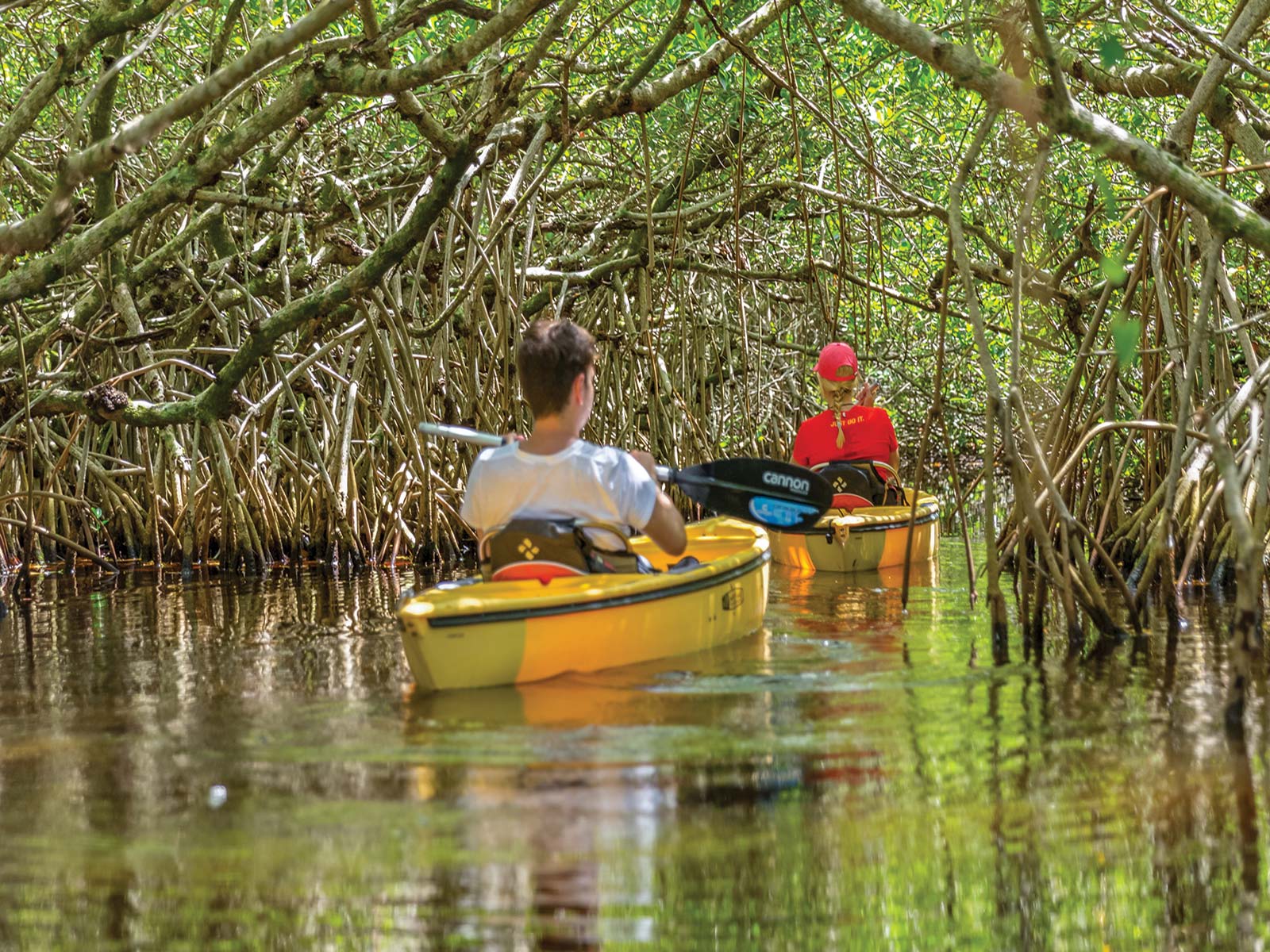 the Coast Paddle your way through the lush network of rivers mangroves and - photo 11