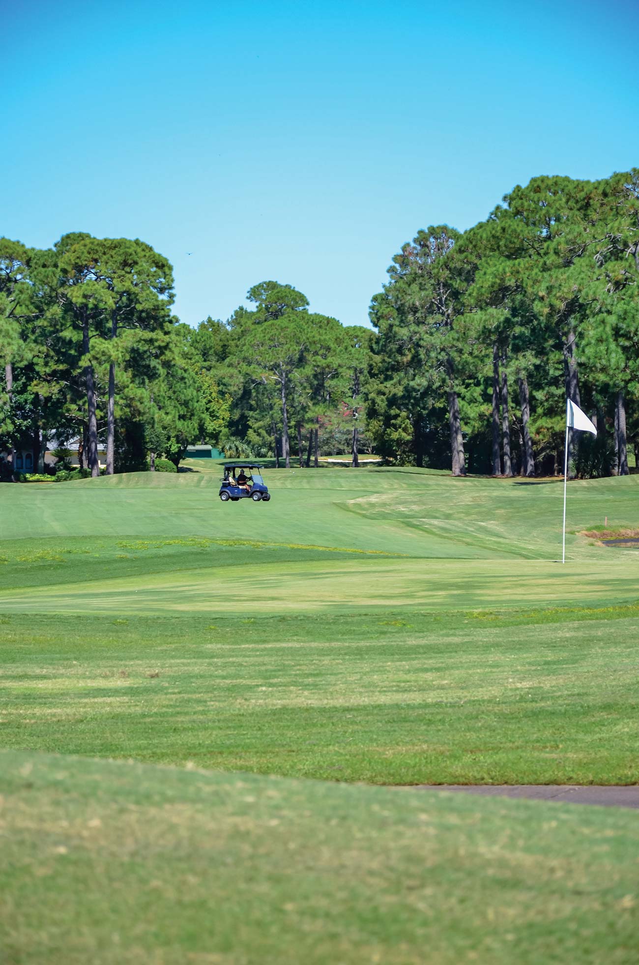 Pick up your clubs and find your bliss where the sun shines on the greens - photo 16